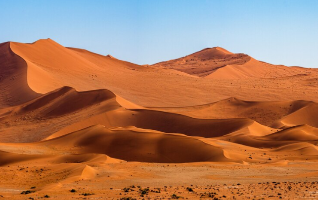 Choosing the Perfect Ride for Your Beach, Desert, and Forest Adventures
