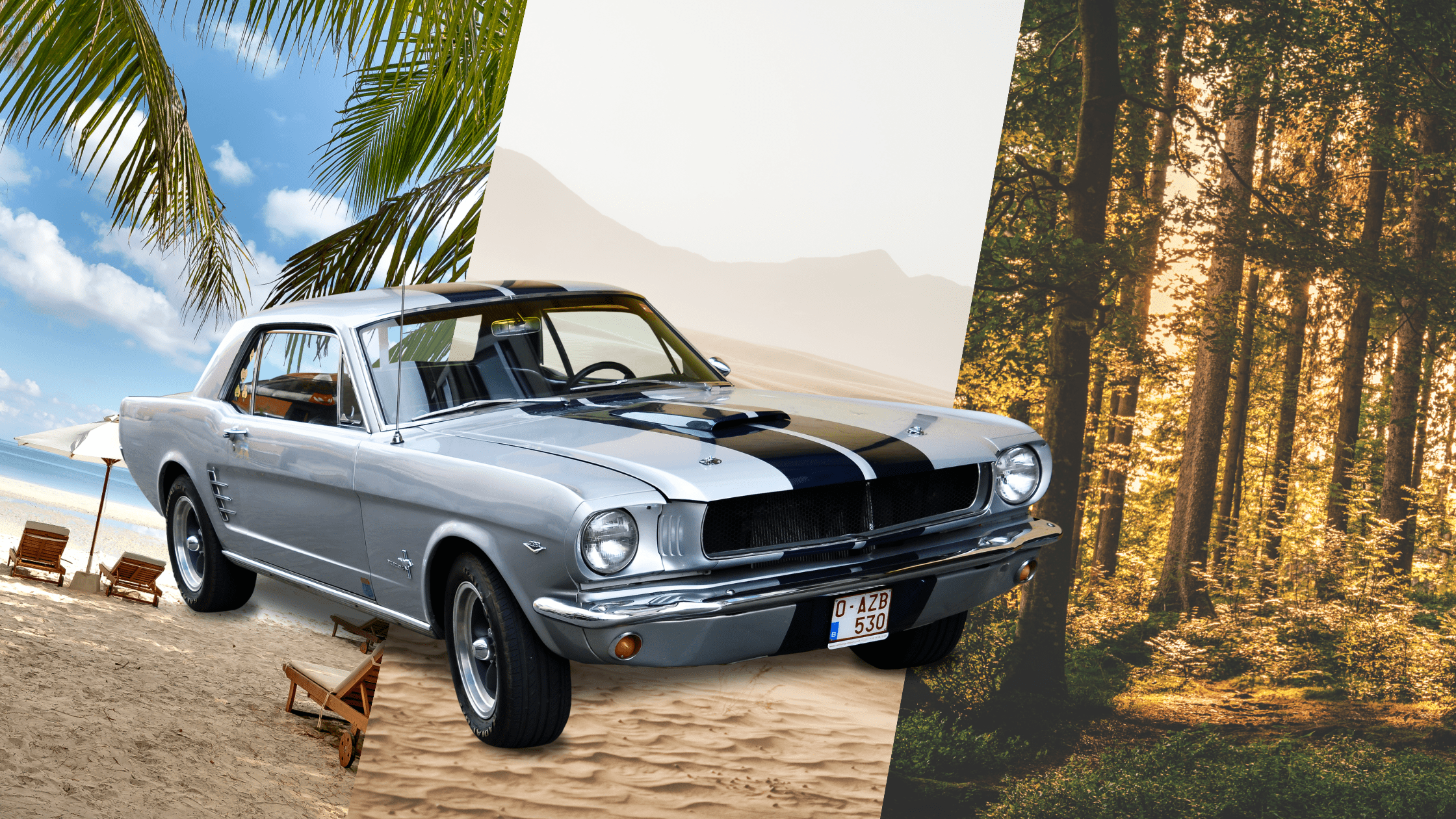 Choosing the Perfect Ride for Your Beach, Desert, and Forest Adventures